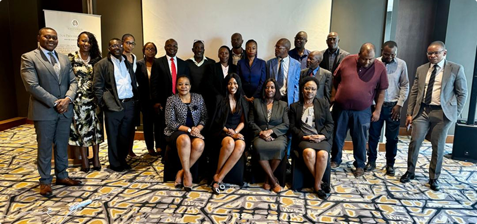 From Draft to Reality:  A Collaborative Success Story in Finalising Zambia’s PPP Regulations